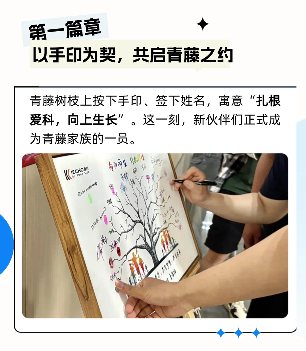 11ff507d-547f-45f6-bf47-bcada55d9d43.png